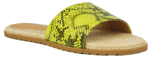 Slides- Python Neon
