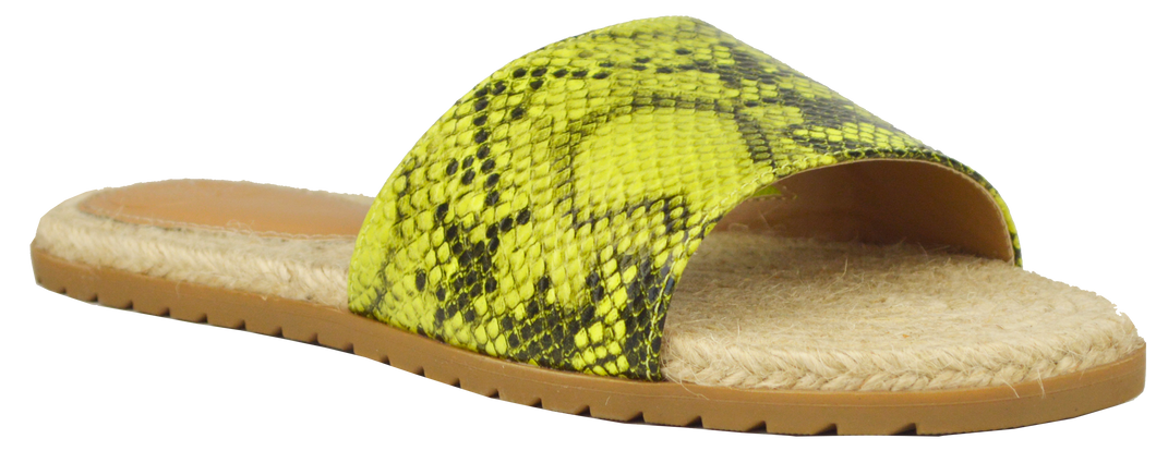 Slides- Python Neon