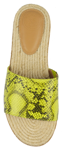 Slides- Python Neon