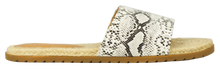 Load image into Gallery viewer, Slides- Python Gray
