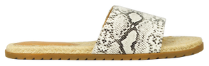 Slides- Python Gray