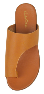 Open Slide- Brown